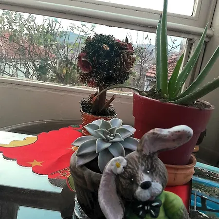 Διαμέρισμα Tanias House