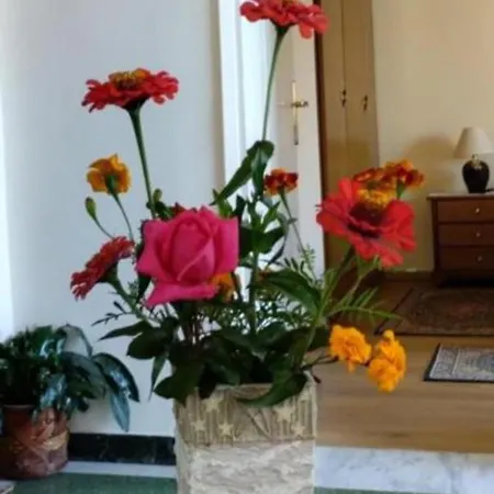 아파트 Tanias House