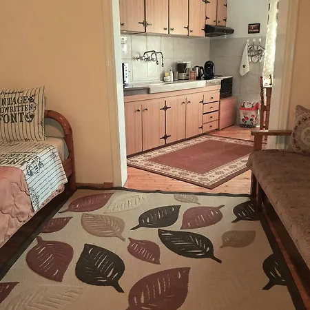 아파트 Tanias House *