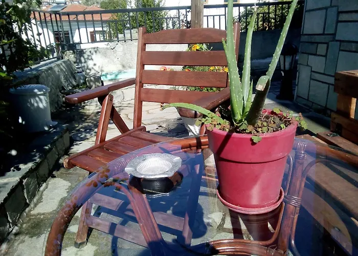 Tanias House *